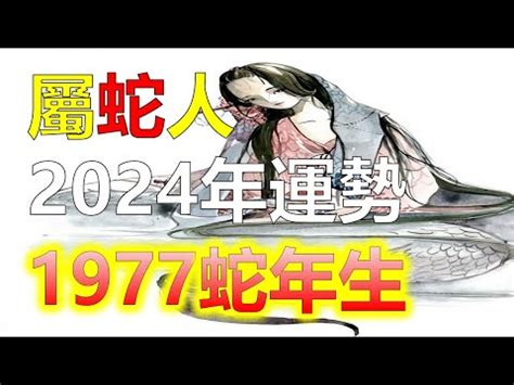 2013屬蛇|生肖蛇: 性格，愛情，2024運勢，生肖1989，2001，2013